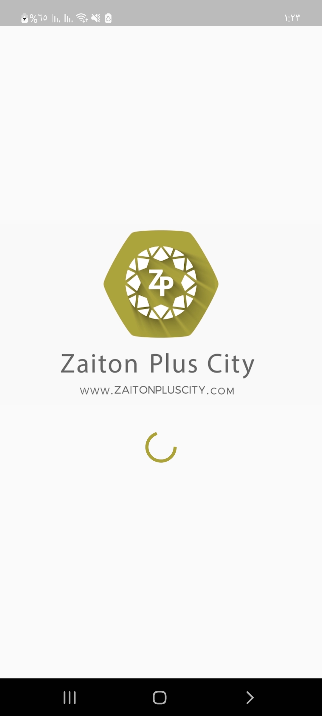 Zaiton Plus City